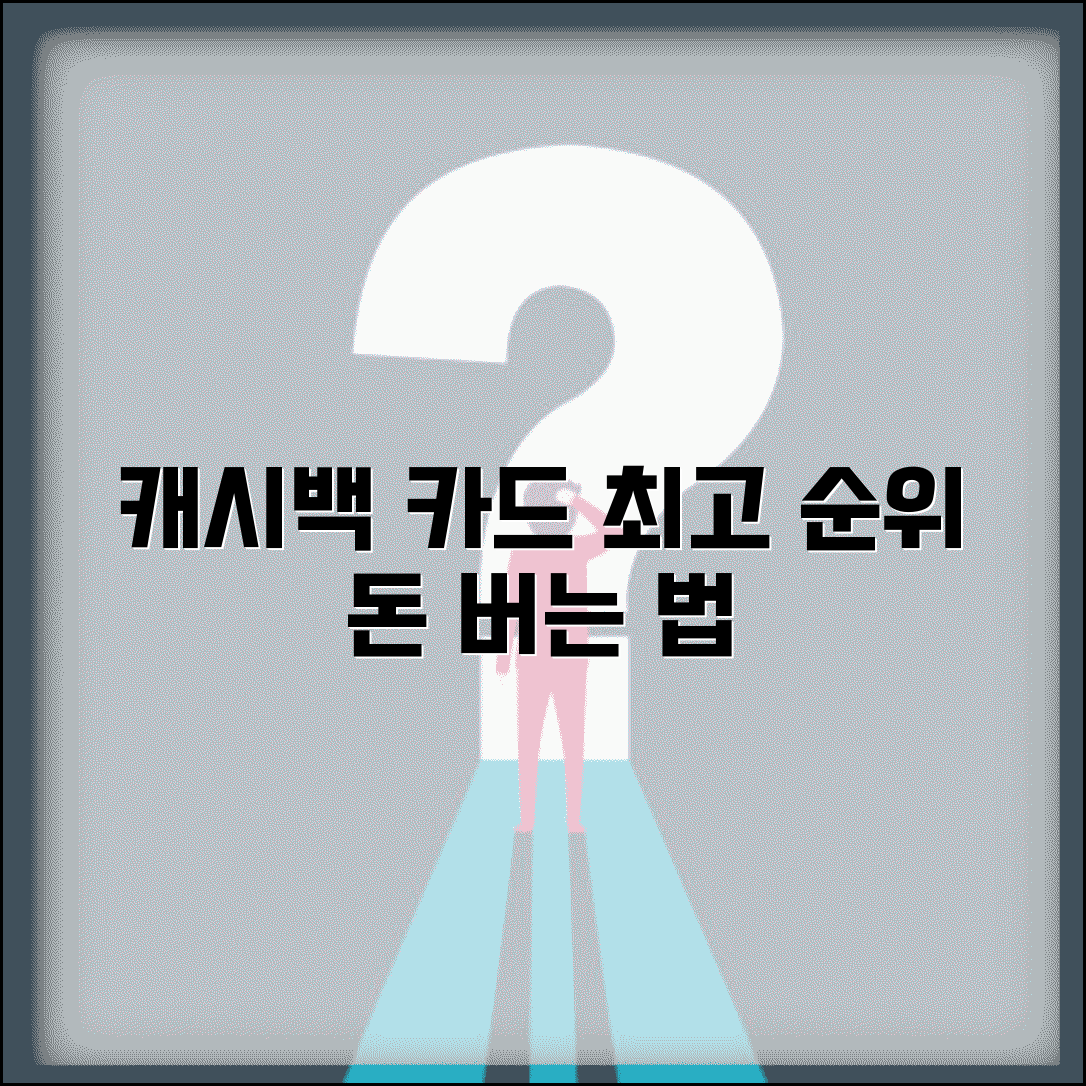 캐시백 신용카드 순위 | 최고 캐시백 카드 완벽비교