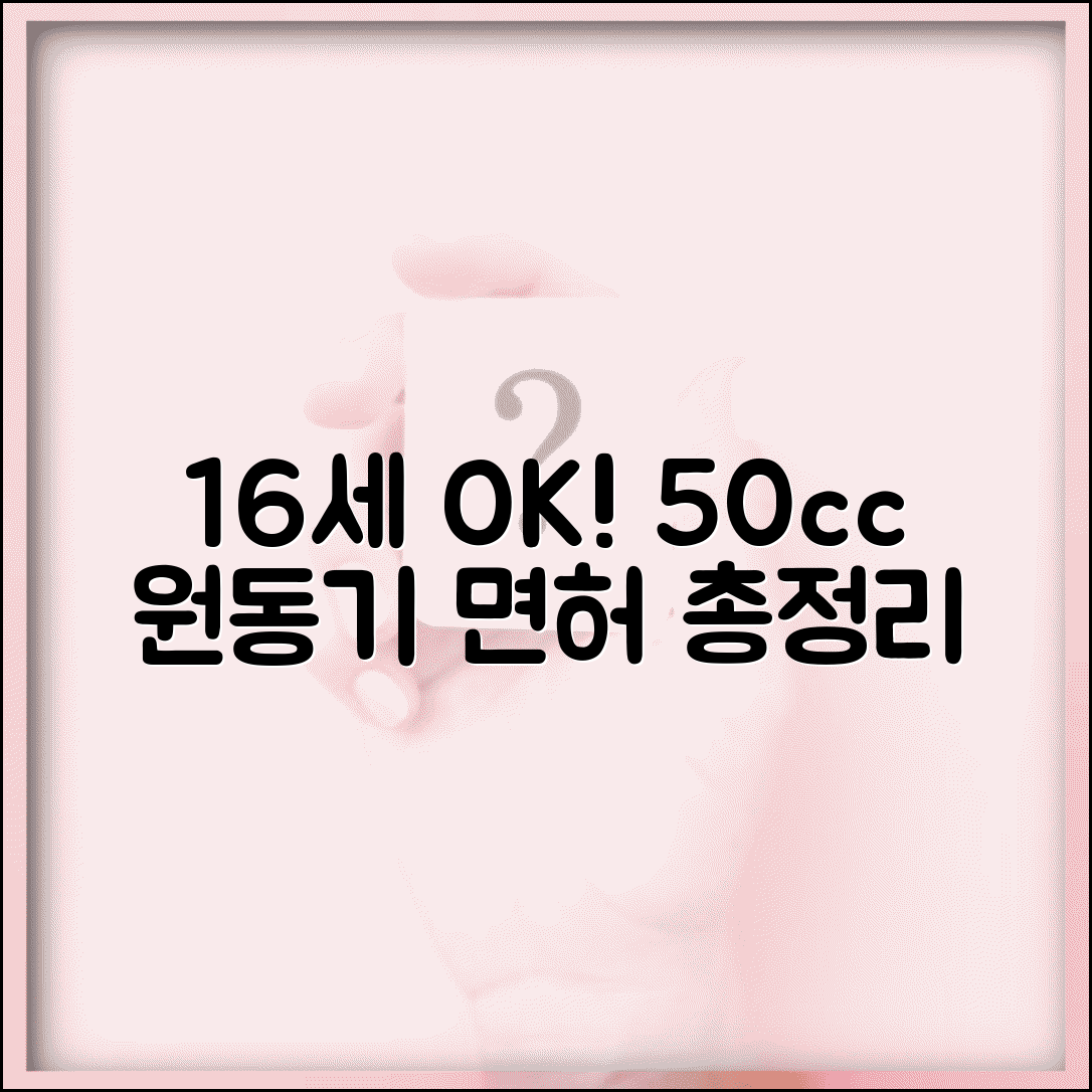 원동기 면허 취득 나이 16세 이상 | 50cc 원동기 면허, 만 16세 취득 조건 및 방법 총정리
