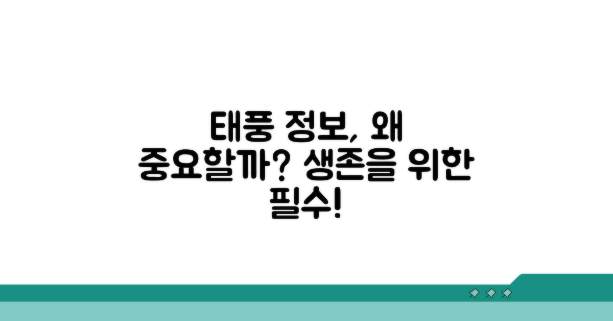 정확한 태풍 정보, 왜 중요할까?