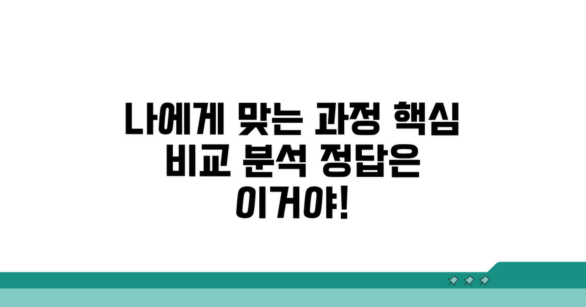 나에게 맞는 과정, 핵심 비교 분석