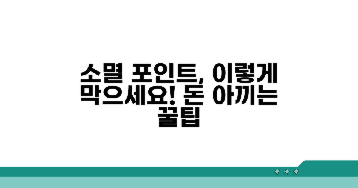 소멸되는 포인트, 이렇게 막아보세요