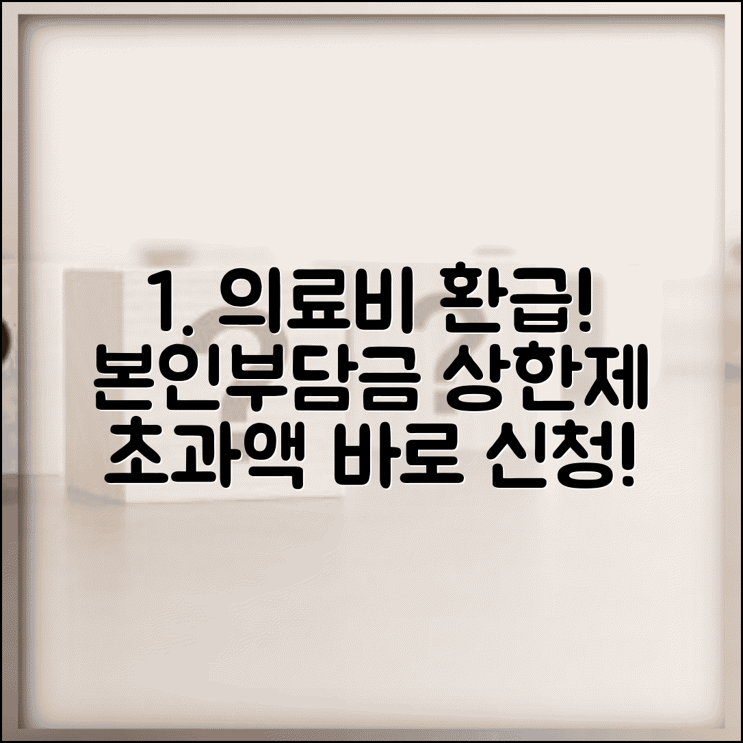 의료비 본인부담금 상한제 환급 | 상한액 초과 시 환급 신청 절차