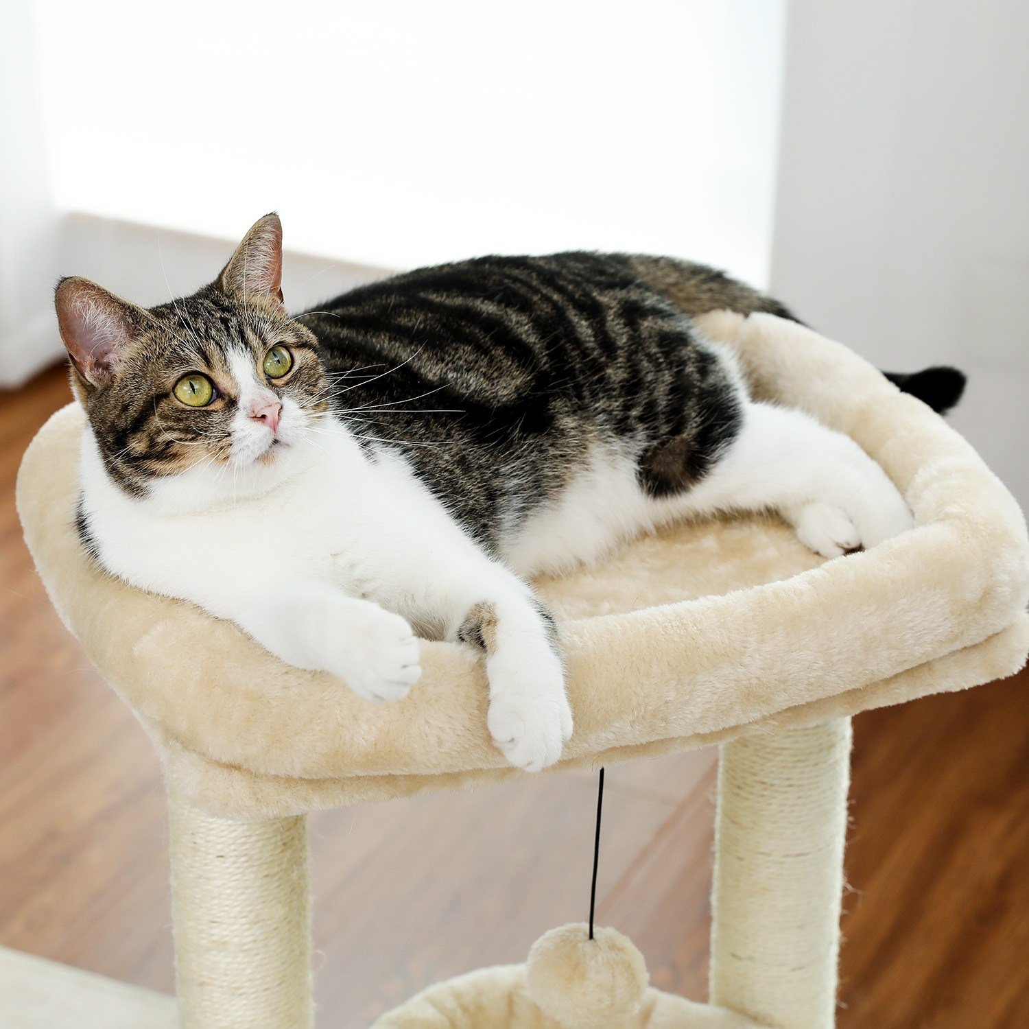 PAWZ Road 3단 소형 캣타워 고양이 하우스 낮은 플랫폼 숨숨집 기둥형 스크래쳐 패브릭 68cm, 1개, 베이지할인· 5일 남음 상세 이미지 1