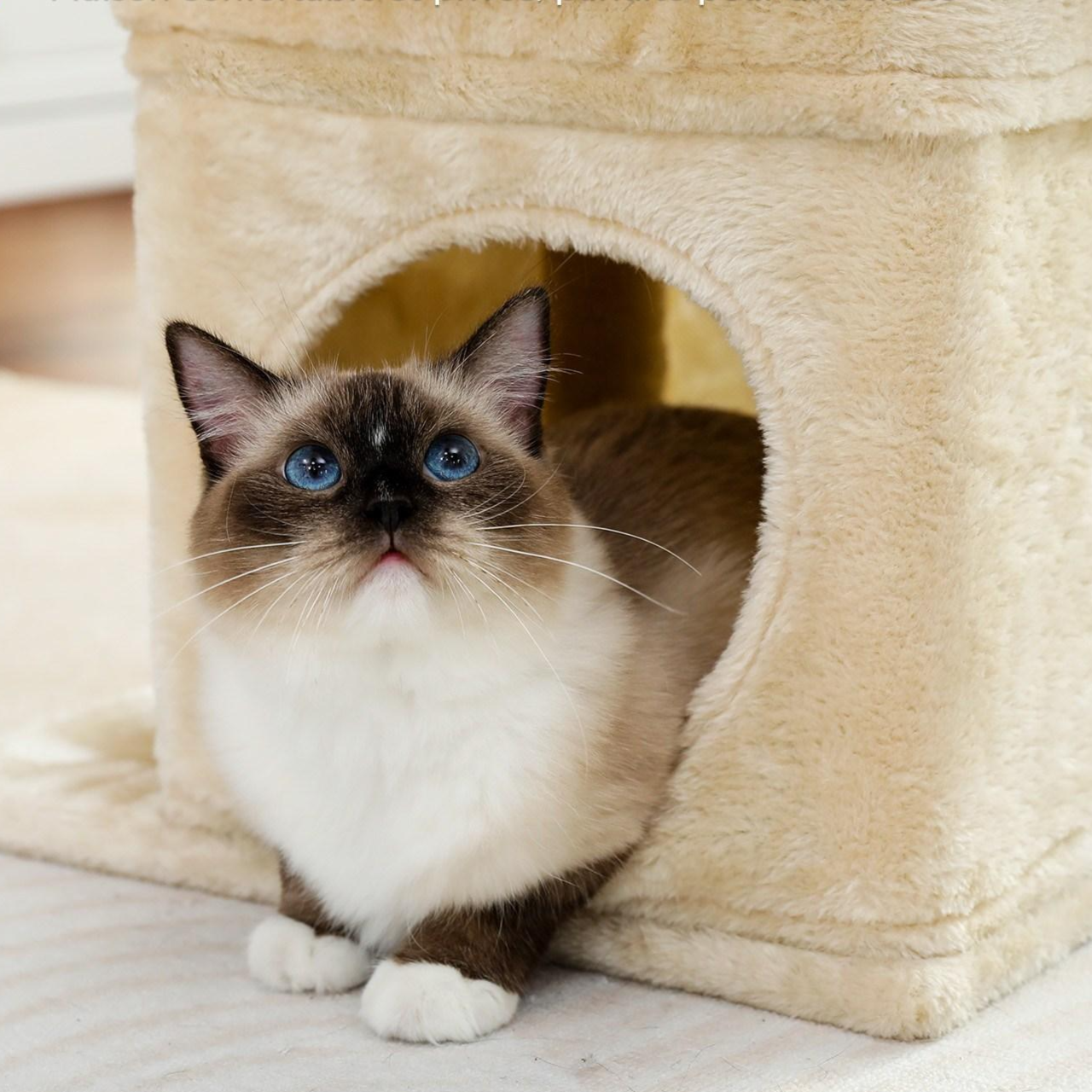 PAWZ Road 3단 소형 캣타워 고양이 하우스 낮은 플랫폼 숨숨집 기둥형 스크래쳐 패브릭 68cm, 1개, 베이지할인· 5일 남음 상세 이미지 2