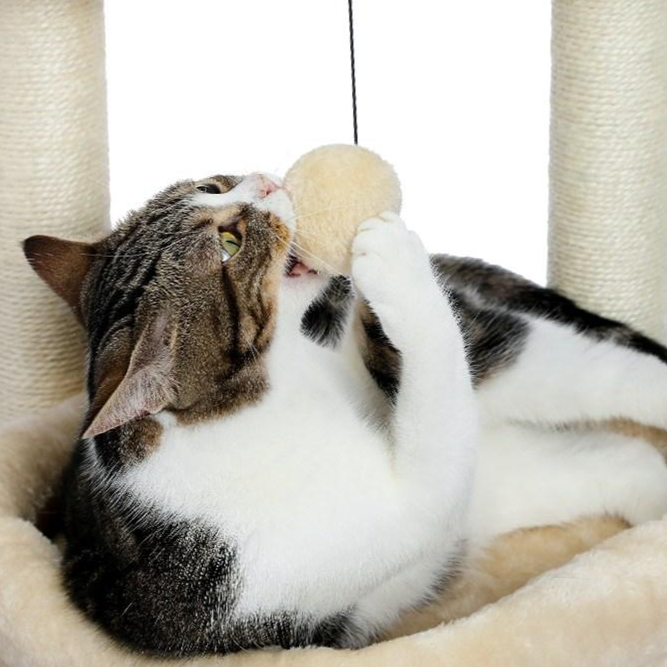 PAWZ Road 3단 소형 캣타워 고양이 하우스 낮은 플랫폼 숨숨집 기둥형 스크래쳐 패브릭 68cm, 1개, 베이지할인· 5일 남음 상세 이미지 1