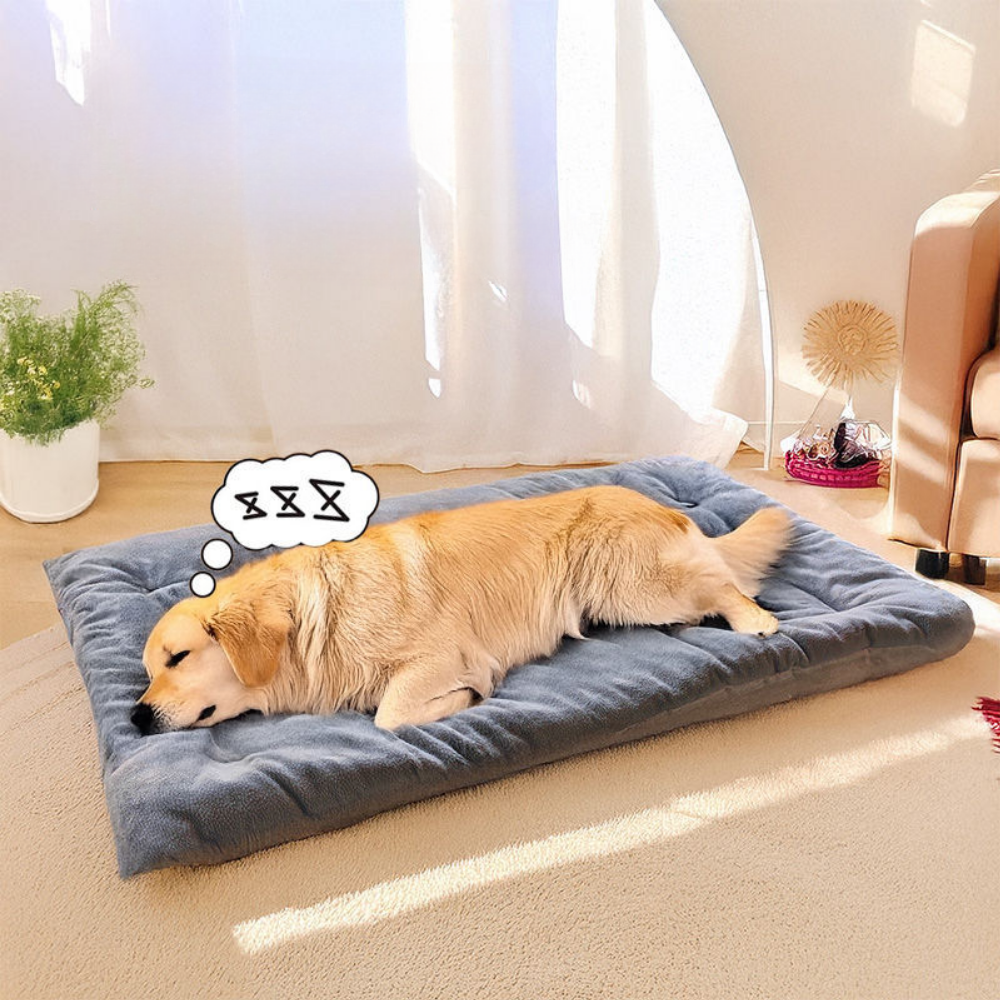 레마르 반려동물 안정숙면 강아지 방석 대형, 1개, 그레이쿠폰할인 상세 이미지 1