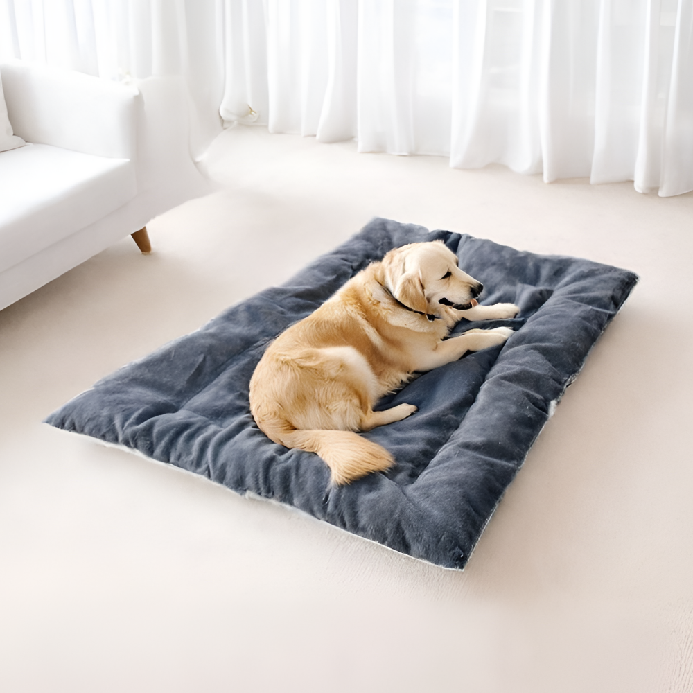 레마르 반려동물 안정숙면 강아지 방석 대형, 1개, 그레이쿠폰할인 상세 이미지 2