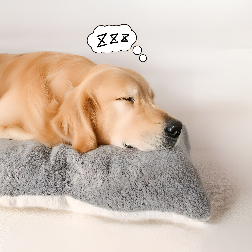 레마르 반려동물 안정숙면 강아지 방석 대형, 1개, 그레이쿠폰할인 상세 이미지 1